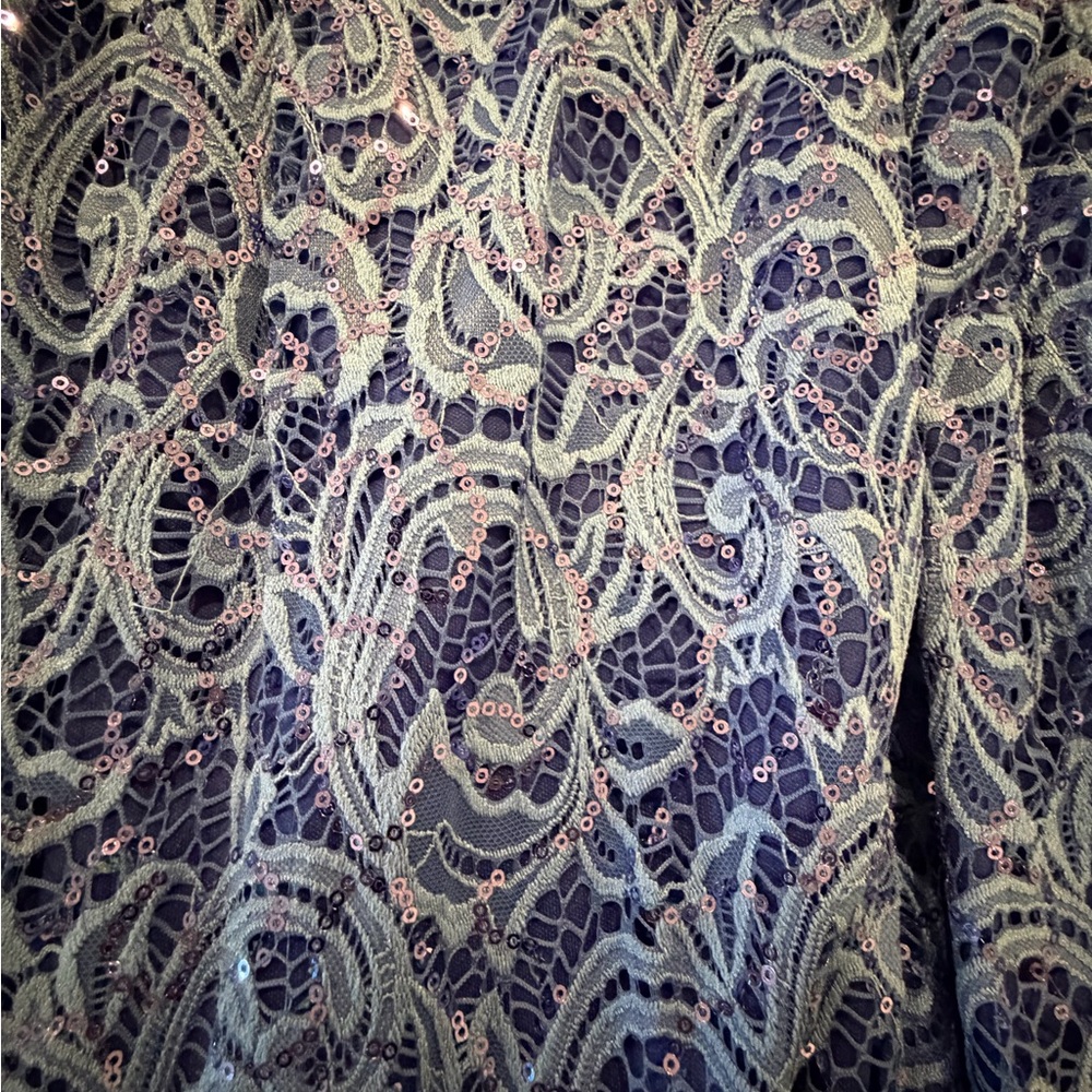 Elegant Blue Lace Dress - Picture 3 of 3